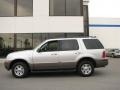 Silver Birch Metallic - Mountaineer Convenience AWD Photo No. 1