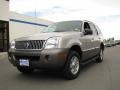 Silver Birch Metallic - Mountaineer Convenience AWD Photo No. 2