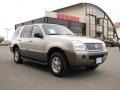 Silver Birch Metallic - Mountaineer Convenience AWD Photo No. 3
