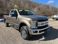 2019 Stone Gray Ford F250 Super Duty XLT SuperCab 4x4  photo #5