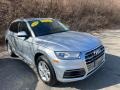 Florett Silver Metallic - Q5 2.0 TFSI Premium quattro Photo No. 3