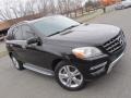 Black - ML 350 4Matic Photo No. 3
