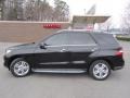 Black - ML 350 4Matic Photo No. 7