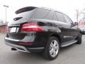 Black - ML 350 4Matic Photo No. 10