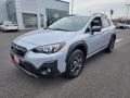 Ice Silver Metallic 2023 Subaru Crosstrek Sport Exterior