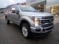 Iconic Silver - F350 Super Duty Platinum Crew Cab 4x4 Photo No. 9