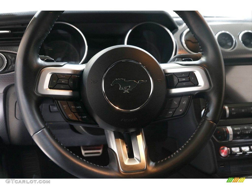 2019 Mustang GT Premium Fastback - Ingot Silver / Ebony photo #7