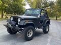 Classic Black 1980 Jeep CJ5 4x4 Exterior