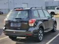 Dark Gray Metallic - Forester 2.5i Photo No. 5