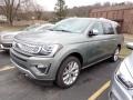 2019 Silver Spruce Metallic Ford Expedition Platinum Max 4x4  photo #1