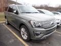 2019 Silver Spruce Metallic Ford Expedition Platinum Max 4x4  photo #3