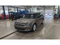 2019 Stone Gray Ford Flex SEL AWD #145652751