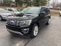 2018 Shadow Black Ford Expedition Limited Max 4x4  photo #2