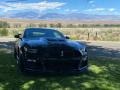 Shadow Black 2021 Ford Mustang Shelby GT500 Exterior