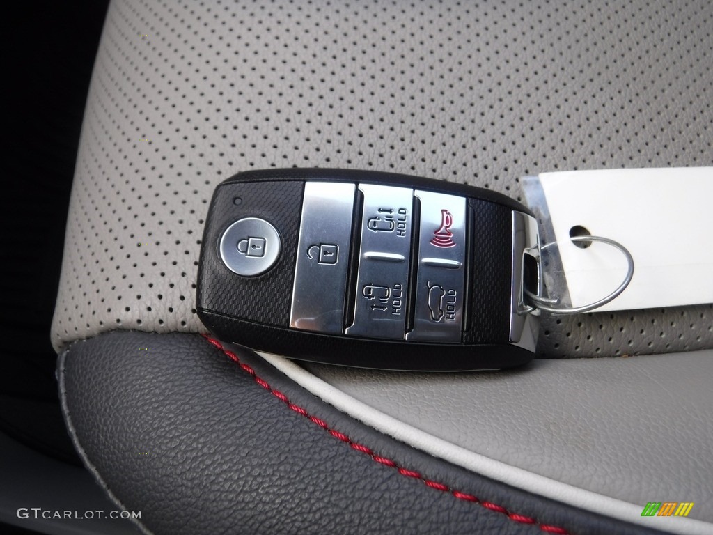 2018 Sedona LX - Venetian Red / Dark Graphite photo #31