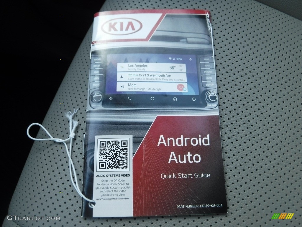 2018 Sedona LX - Venetian Red / Dark Graphite photo #32