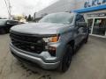 Sterling Gray Metallic - Silverado 1500 Custom Crew Cab 4x4 Photo No. 4