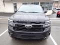 Agate Black Metallic - Expedition Limited Max 4x4 Photo No. 3