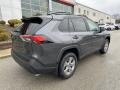 Lunar Rock - RAV4 XLE AWD Photo No. 27