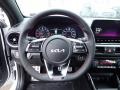 2023 Snow White Pearl Kia Forte GT  photo #19