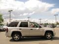 Silverstone Metallic - TrailBlazer LS 4x4 Photo No. 4