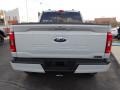 Avalanche - F150 Sherrod XLT SuperCrew 4x4 Photo No. 4