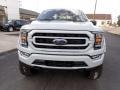 Avalanche - F150 Sherrod XLT SuperCrew 4x4 Photo No. 8
