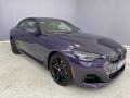 Thundernight Metallic 2023 BMW 2 Series 230i Coupe Exterior