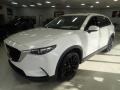 Snowflake White Pearl Mica - CX-9 Touring Plus AWD Photo No. 6