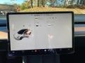 Black Controls Photo for 2023 Tesla Model 3 #145689581