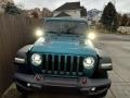 Bikini Pearl - Wrangler Unlimited Rubicon 4x4 Photo No. 16