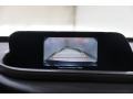 Polymetal Gray Metallic - CX-30 Premium AWD Photo No. 12