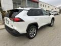 Ice Cap - RAV4 XLE Premium AWD Photo No. 9