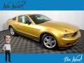 Sunset Gold Metallic 2010 Ford Mustang V6 Coupe