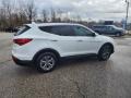 Frost White Pearl - Santa Fe Sport  Photo No. 5