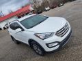 Frost White Pearl - Santa Fe Sport  Photo No. 6