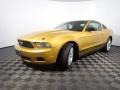 2010 Sunset Gold Metallic Ford Mustang V6 Coupe  photo #7