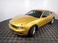 2010 Sunset Gold Metallic Ford Mustang V6 Coupe  photo #8