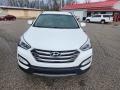 Frost White Pearl - Santa Fe Sport  Photo No. 7