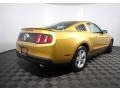 2010 Sunset Gold Metallic Ford Mustang V6 Coupe  photo #14