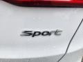 Frost White Pearl - Santa Fe Sport  Photo No. 19