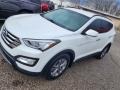 Frost White Pearl - Santa Fe Sport  Photo No. 26