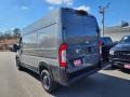 Sting-Gray - ProMaster 1500 High Roof Cargo Van Photo No. 4