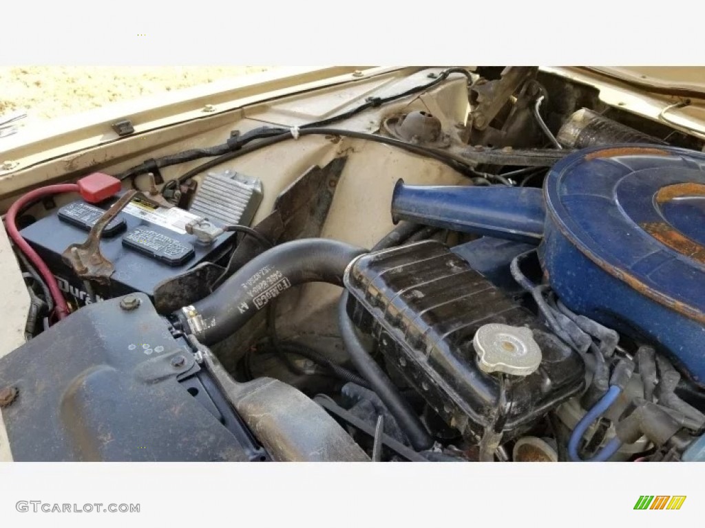 1966 Ford Thunderbird Landau Engine Photos