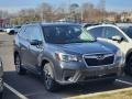 Magnetite Gray Metallic - Forester 2.5i Premium Photo No. 3