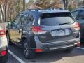 Magnetite Gray Metallic - Forester 2.5i Premium Photo No. 7