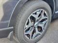 Magnetite Gray Metallic - Forester 2.5i Premium Photo No. 8