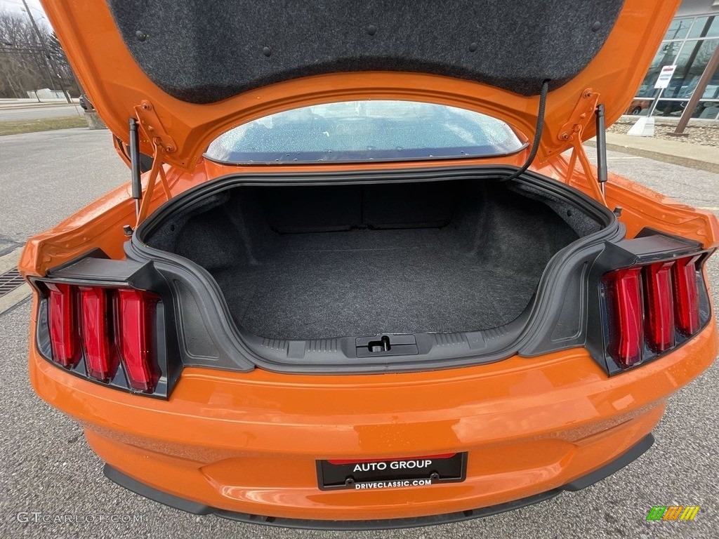 2020 Ford Mustang EcoBoost Fastback Trunk Photos