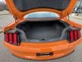 2020 Ford Mustang EcoBoost Fastback Trunk