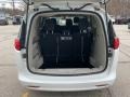  2020 Voyager L Trunk